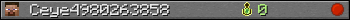 Ceye4980263858 userbar 350x20