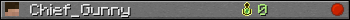 Chief_Gunny userbar 350x20