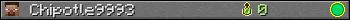 Chipotle9993 userbar 350x20