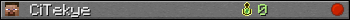 CiTekye userbar 350x20