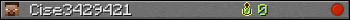Cise3429421 userbar 350x20