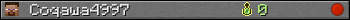 Coqawa4997 userbar 350x20