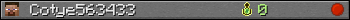 Cotye563433 userbar 350x20