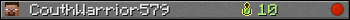 CouthWarrior579 userbar 350x20