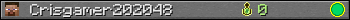 Crisgamer202048 userbar 350x20