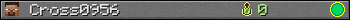 Benutzerleisten 350x20 für Cross0956