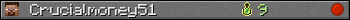 Crucialmoney51 userbar 350x20