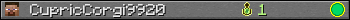 CupricCorgi9920 userbar 350x20