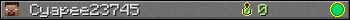 Cyapee23745 userbar 350x20