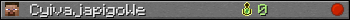 CyivajapigoWe userbar 350x20