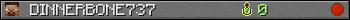 DINNERBONE737 userbar 350x20