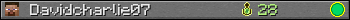 Davidcharlie07 userbar 350x20