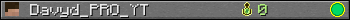 Davyd_PRO_YT userbar 350x20