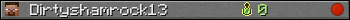 Dirtyshamrock13 userbar 350x20