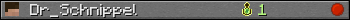 Dr_Schnippel userbar 350x20