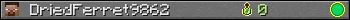 DriedFerret9862 userbar 350x20