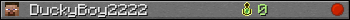 DuckyBoy2222 userbar 350x20