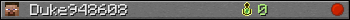 Duke948608 userbar 350x20