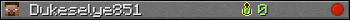Dukeselye851 userbar 350x20