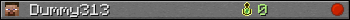 Dummy313 userbar 350x20