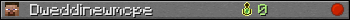 Dweddinewmcpe userbar 350x20