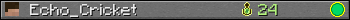 Echo_Cricket userbar 350x20