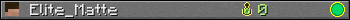 Elite_Matte userbar 350x20