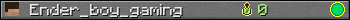 Ender_boy_gaming userbar 350x20