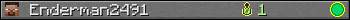 Enderman2491 userbar 350x20