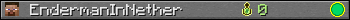 EndermanInNether userbar 350x20