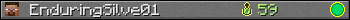 EnduringSilve01 userbar 350x20