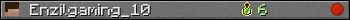 Enzilgaming_10 userbar 350x20