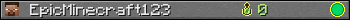 EpicMinecraft123 userbar 350x20