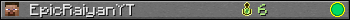 EpicRaiyanYT userbar 350x20