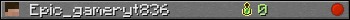 Epic_gameryt836 userbar 350x20