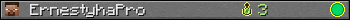 ErnestyhaPro userbar 350x20