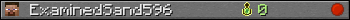 ExaminedSand596 userbar 350x20