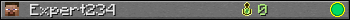 Expert234 userbar 350x20