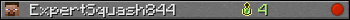 ExpertSquash844 userbar 350x20