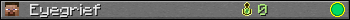 Benutzerleisten 350x20 für Eyegrief