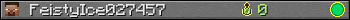 FeistyIce027457 userbar 350x20