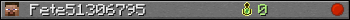 Fete51306795 userbar 350x20