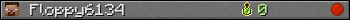 Floppy6134 userbar 350x20