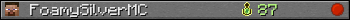 FoamySilverMC userbar 350x20