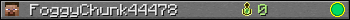 FoggyChunk44478 userbar 350x20