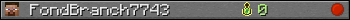 FondBranch7743 userbar 350x20