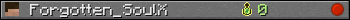 Forgotten_SoulX userbar 350x20