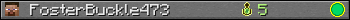 FosterBuckle473 userbar 350x20