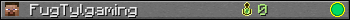 FugTylgaming userbar 350x20