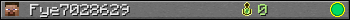 Fye7028629 userbar 350x20